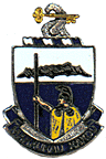 298th Infantry Regiment Maukaukau Kakou (We Are Prepared.) insignia